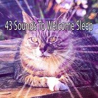 43 Sounds To Welcome Sleep