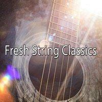 Fresh String Classics