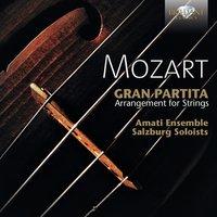 Amati Ensemble & Salzburg Soloists