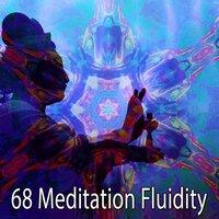 68 Meditation Fluidity