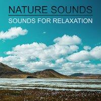 Nature Sounds for Relaxation - Relaxing Ambient, Crystal Water, Sounds of Nature