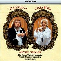 Telemann: Der Schulmeister - Cimarosa: Il Maestro di Cappella