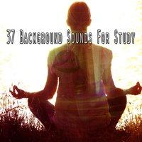 37 Background Sounds For Study