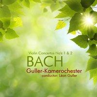 Guller-Kammerorchester