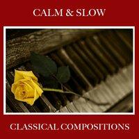 #20 Calm & Slow Classical Compositions
