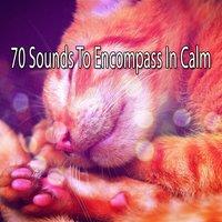 70 Sounds To Encompass In Calm