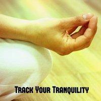 Track Your Tranquility