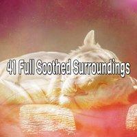 41 Full Soothed Surroundings