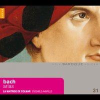 Bach: Arias