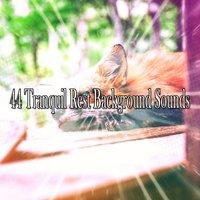 44 Tranquil Rest Background Sounds