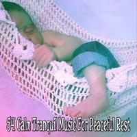 54 Calm Tranquil Music For Peaceful Rest