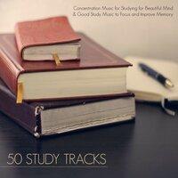 50 Study Tracks - Concentration Music for Studying for Beautiful Mind & Good Study Music to Focus and Improve Memory