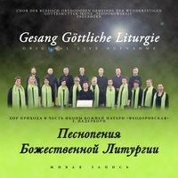 Chor der russisch-orthodoxen Gemeinde der wundertätigen Gottesmutter-Ikone „Feodorowskaja“