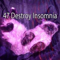 47 Destroy Insomnia