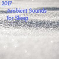 2017 Ambient Sound Collection - Help You and Your Baby Sleep