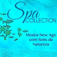 Spa Collection - Música New Age com Sons da Natureza & Maravilhosas Canções Chill Out para a Massagem, Bem Estar, Relaxamento e Energia Vital, Meditação e Spa