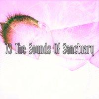 73 The Sounds Of Sanctuary