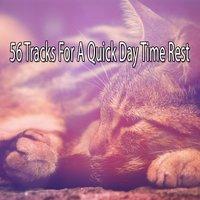 56 Tracks For A Quick Day Time Rest