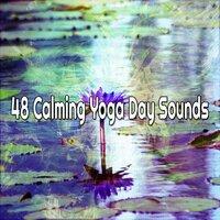 48 Calming Yoga Day Sounds