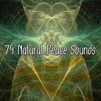 74 Natural Peace Sounds