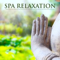 Spa Relaxation: Nature Sounds, Forest Sounds, Bird Sounds and Relaxing Music For Spa Music, Massage Music, Relaxation Music Therapy, Healing and Wellness