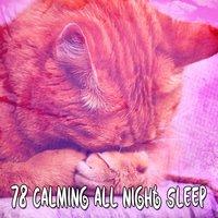 78 Calming All Night Sleep