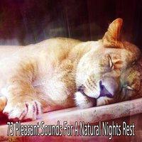 73 Pleasant Sounds For A Natural Nights Rest