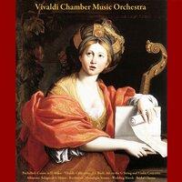 Vivaldi Chamber Music Orchestra