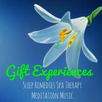 Gift Experiences - Instrumental Natural Relaxing Easy Listening Sounds for Sleep Remedies Spa Therapy Meditation Time Music