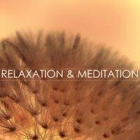 Relaxation & Meditation Background Music