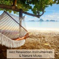 Jazz Relaxation Instrumentals & Nature Music
