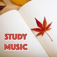 Deep Concentration Study Music
