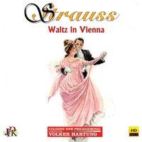 Strauss: Waltz in Vienna