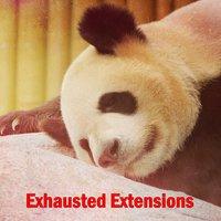 Exhausted Extensions