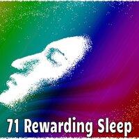 71 Rewarding Sleep