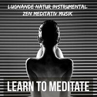 Learn to Meditate - Lugnande Natur Instrumental Zen Meditativ Musik för Djup Koncentration Fokus och Sömnlöshet Behandling