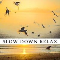 Slow Down Relax – Pure Sounds of New Age Music for Relax Time, Deep Relaxing Music, Sounds of Water Stream