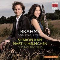 Brahms: Sonatas & Trios