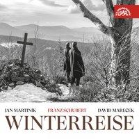 Winterreise, Op. 89, D. 911: No. 7, On the Stream