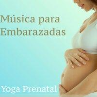 Música para Embarazadas: Yoga Prenatal - Sonidos de la Naturaleza para Niños, Ejercicios de Gimnasia, Meditaciòn y Pilates para Estimular Recien Nacidos