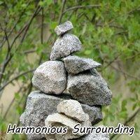 Harmonious Surrounding