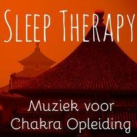 Sleep Therapy - Ontspannende Helende Lounge Muziek voor Chakra Opleiding met Natuurlijke Instrumentale Muziek