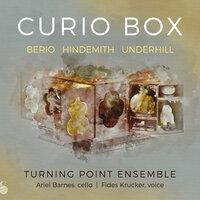 Curio Box