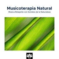 Musicoterapia Natural: Música Relajante con Sonidos de la Naturaleza(Lluvia, Olas del Mar, Canto de los Pájaros, Ranas y Grillos)