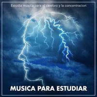 Musica para estudiar: Estudia musica para el cerebro y la concentracion