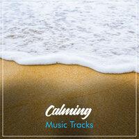 #19 Calming Music Tracks for Meditation