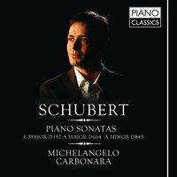 Schubert: Piano Sonatas Vol. I