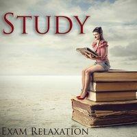 Study Exam Relaxation