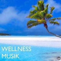 Wellness Musik: Entspannungsmusik und Hintergrundmusik zum Nachdenken & Schlafen im Eco Spa