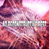 42 Reconstructive Rest